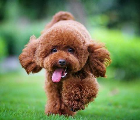 20220421050557165048875754543