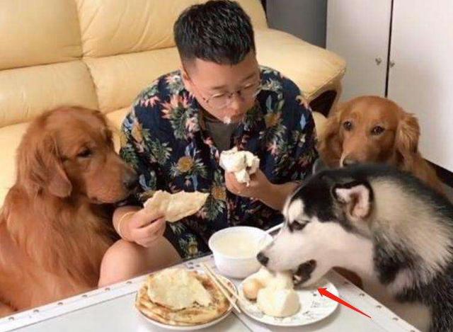 20220421051226165048914613489