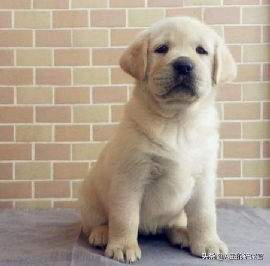 20221024144104_47036 20221024144104_47036