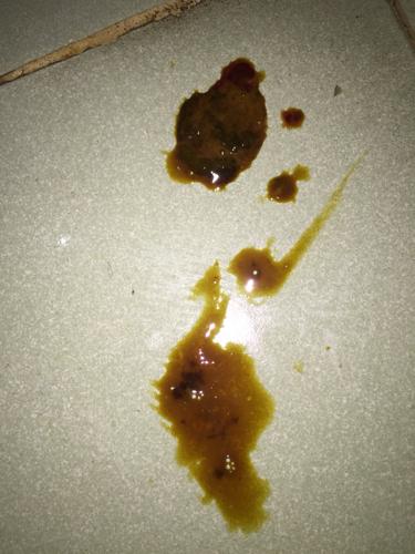 20221025165857_70215