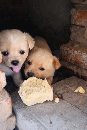 20221025170252_83961 20221025170252_83961