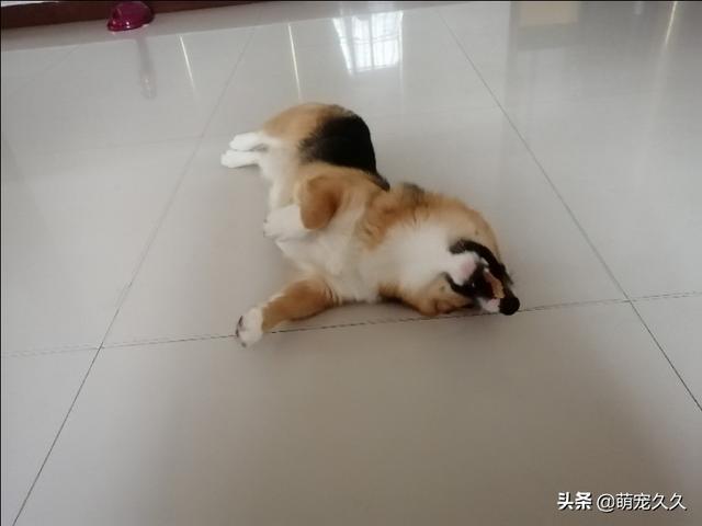 20221025172525_58368