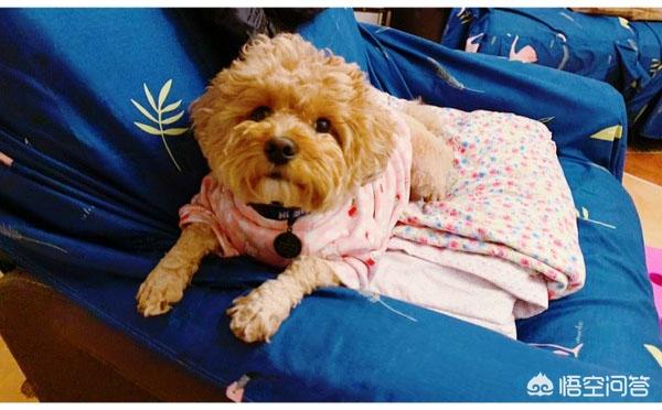 20221025173814_27447