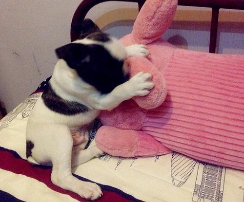 20221026111845_50018