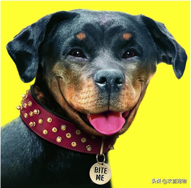 20221026112104_58376 20221026112104_58376