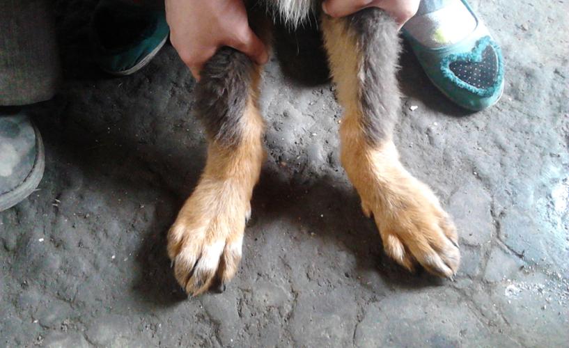 20221026114606_94100