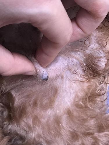 20221026121353_84283