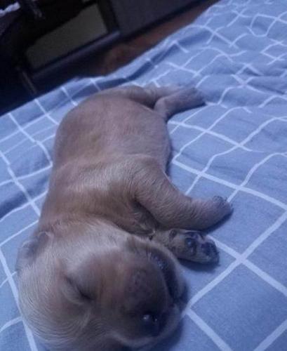 20221026125057_11992 20221026125057_11992