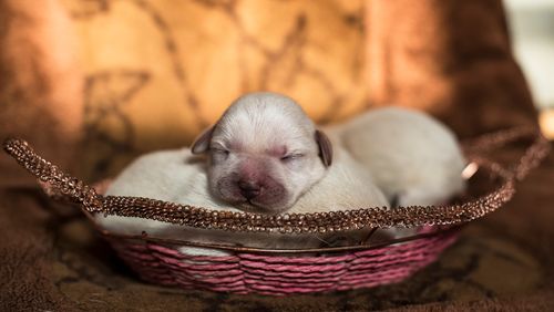 20221026125058_98252 20221026125058_98252