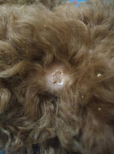 20221026131526_79570