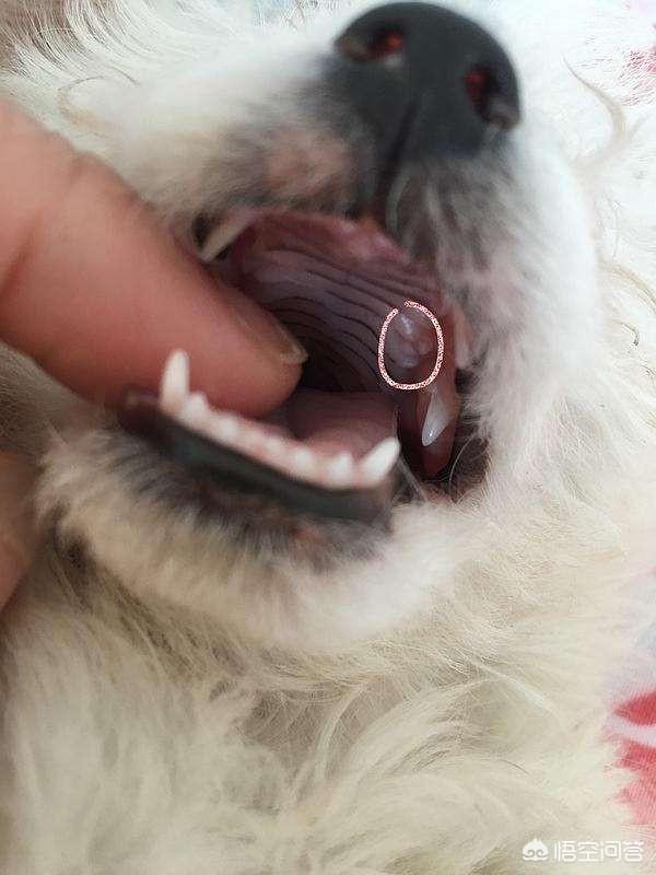 20221026133645_11228