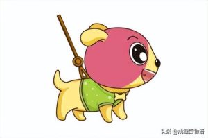 小狗牵引绳哪种好?小狗牵引绳对脖子有影响吗-警犬训练器材厂家 _警犬训练用品_工作犬训练用品-南京开久警犬装备