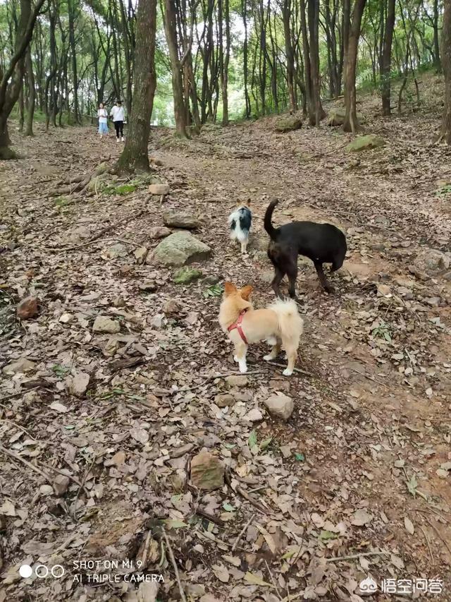 20221030092320_64016