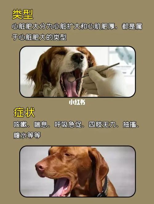 20221030185759_46411 20221030185759_46411