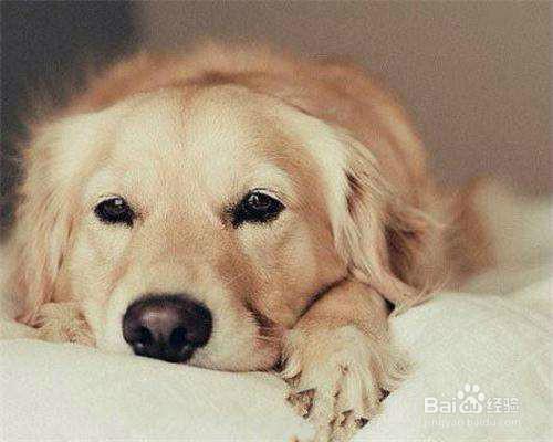 20221030185800_12708 20221030185800_12708