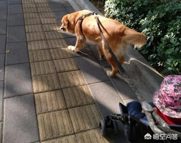 20221031085948_20111