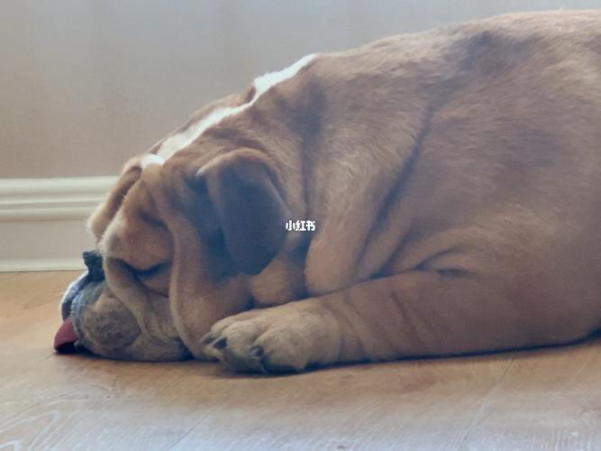 20221031090637_24892