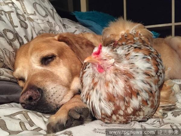 20221031090637_63907