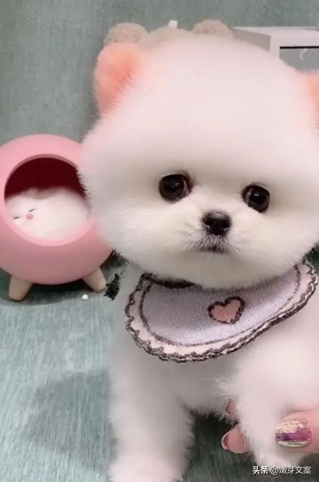 20221031091919_44392