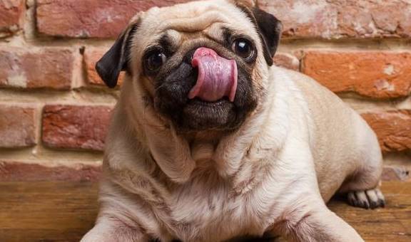 20221031092812_17761