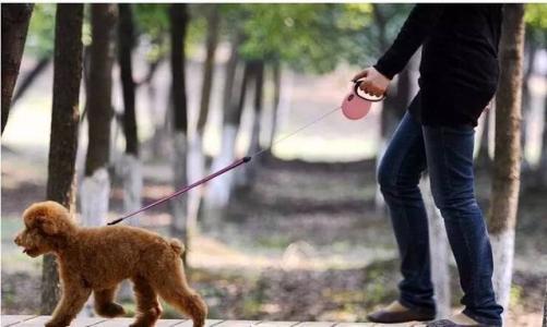 20221031132610_32366