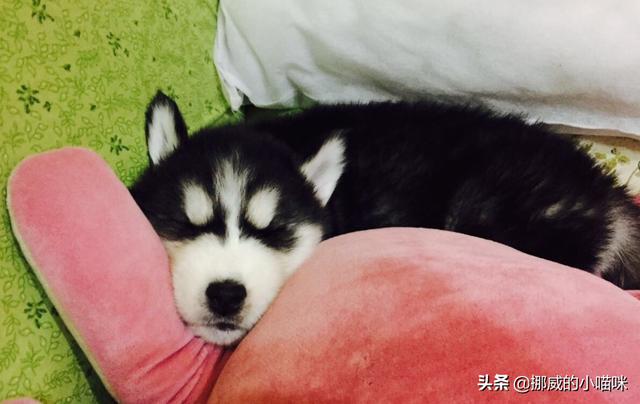 20221031135244_26877 20221031135244_26877