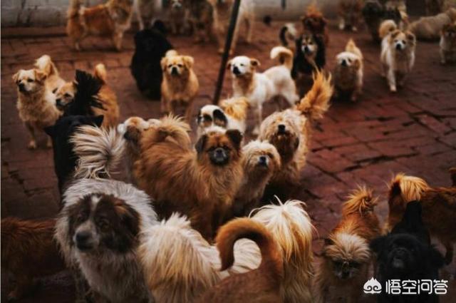 20221031141330_56448