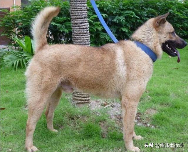 20221031141331_91401 20221031141331_91401