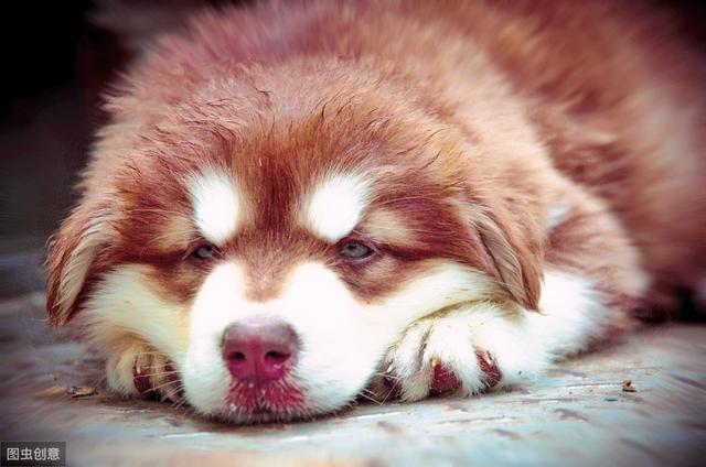 20221102103116_75964