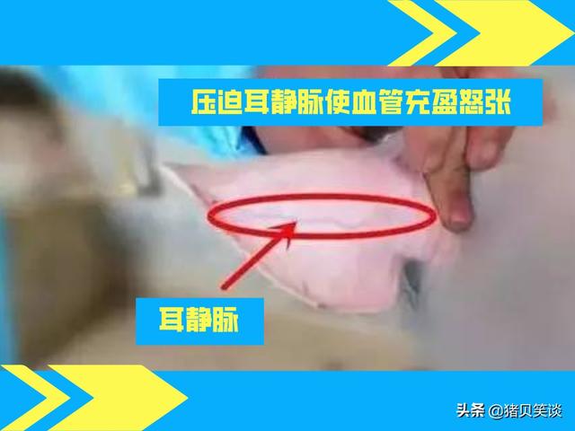 20221102105304_46222