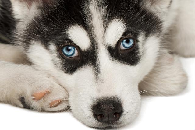 20221102110924_89006