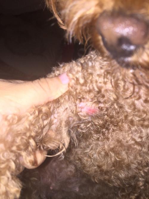 20221102124009_81390 20221102124009_81390