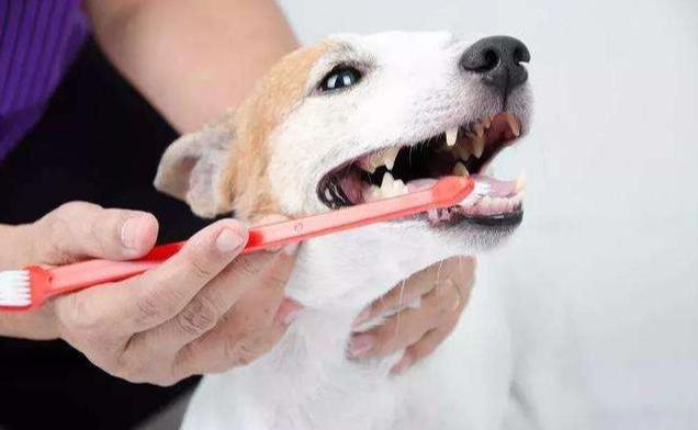 20221102125048_51208