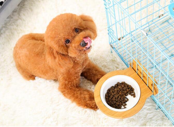 20221102135303_37307 20221102135303_37307