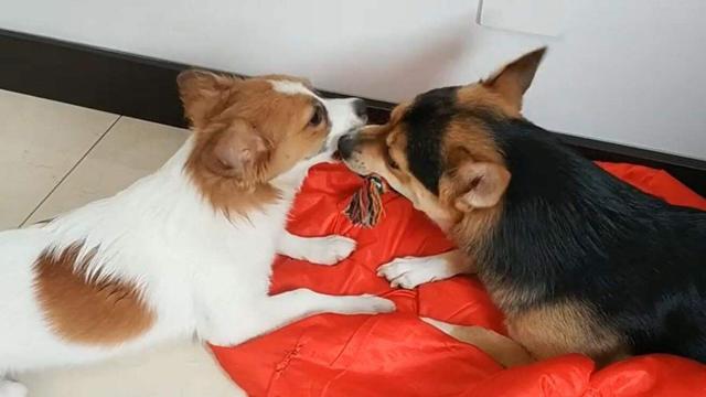 20221102142652_45269