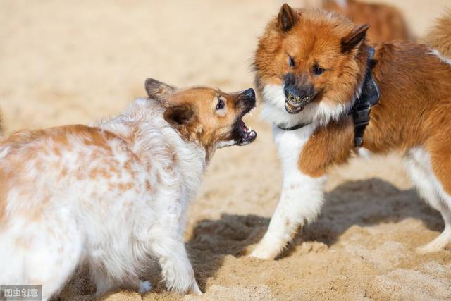 20221102142652_75580