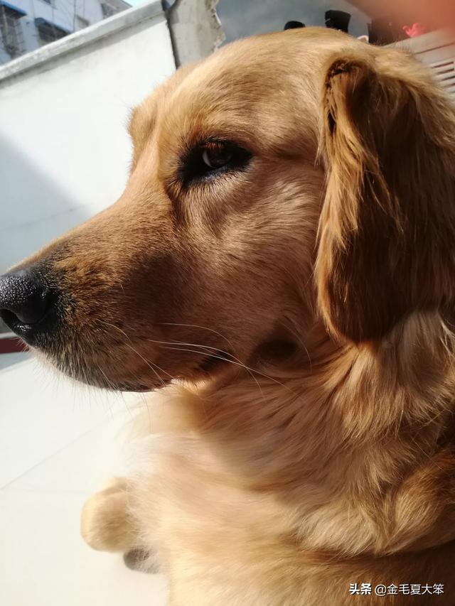 20221102170315_54446 20221102170315_54446