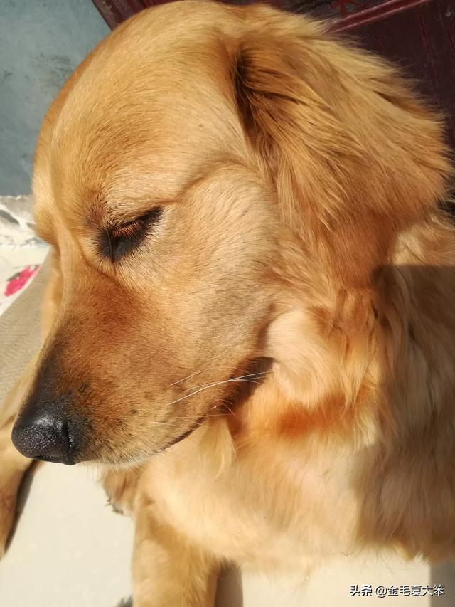 20221102170315_86058 20221102170315_86058