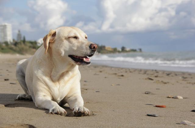 20221102170353_37225 20221102170353_37225