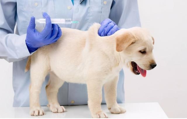 20221102192351_34797