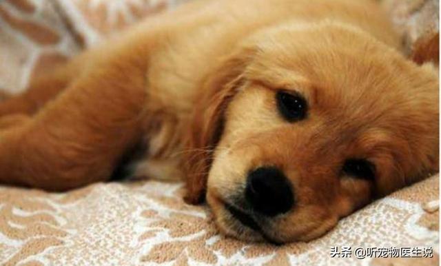 20221102192606_91134