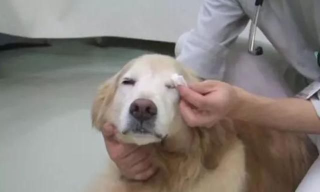 20221102193856_60223