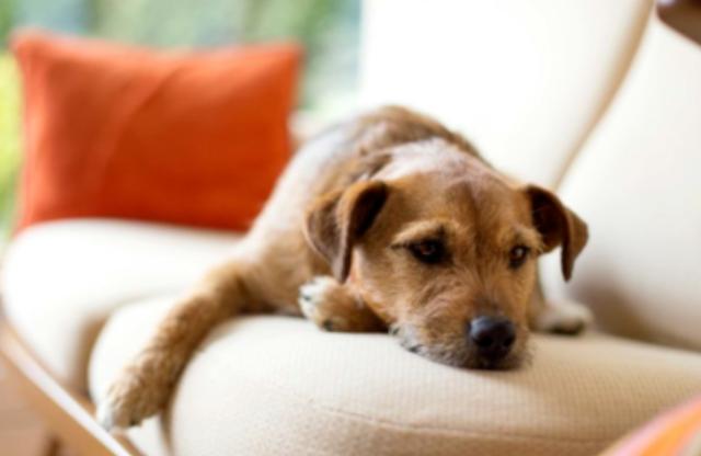 20221102193856_74872