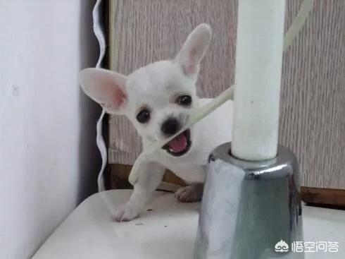 20221102194310_88278