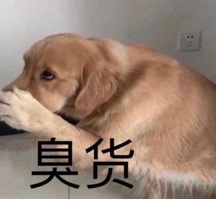 狗狗的耳朵脏臭怎么办？狗狗耳朵太脏怎么办 - 警犬训练器材厂家 _警犬训练用品_工作犬训练用品-南京开久警犬装备-警犬训练器材厂家 _警犬训练用品_工作犬训练用品-南京开久警犬装备