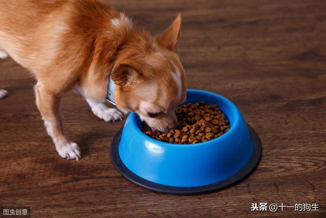 20221102223217_27949