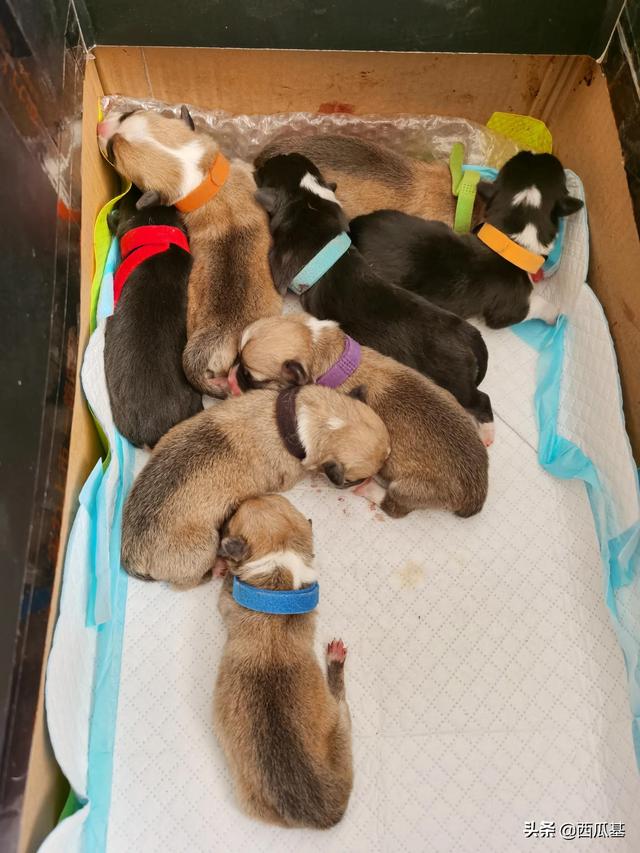 20221103003601_75664