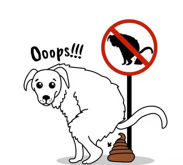 20221103083051_67687 20221103083051_67687