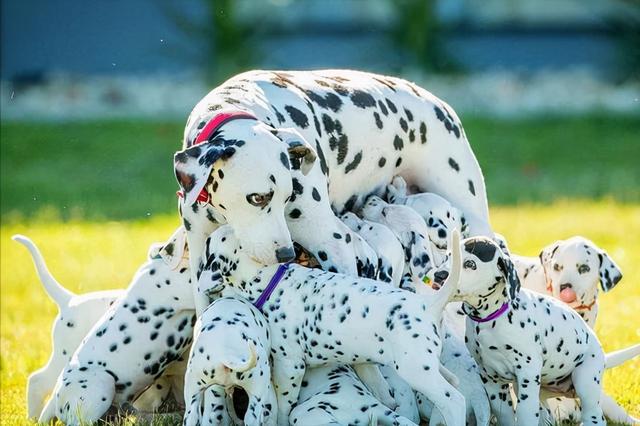 20221103083051_78661 20221103083051_78661