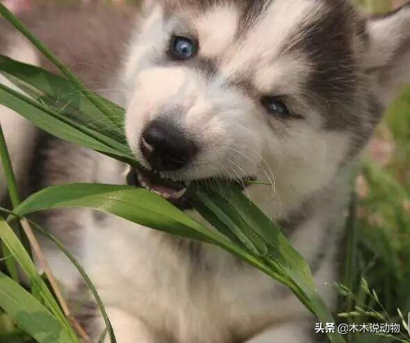 20221103143715_63026